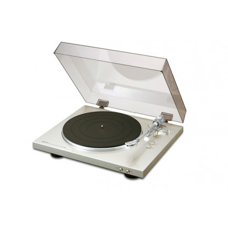 DP300FS