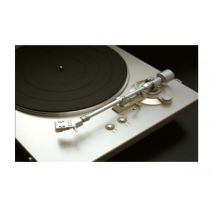 DP300FS