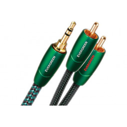 EVERGREEN RCA/MINI JACK
