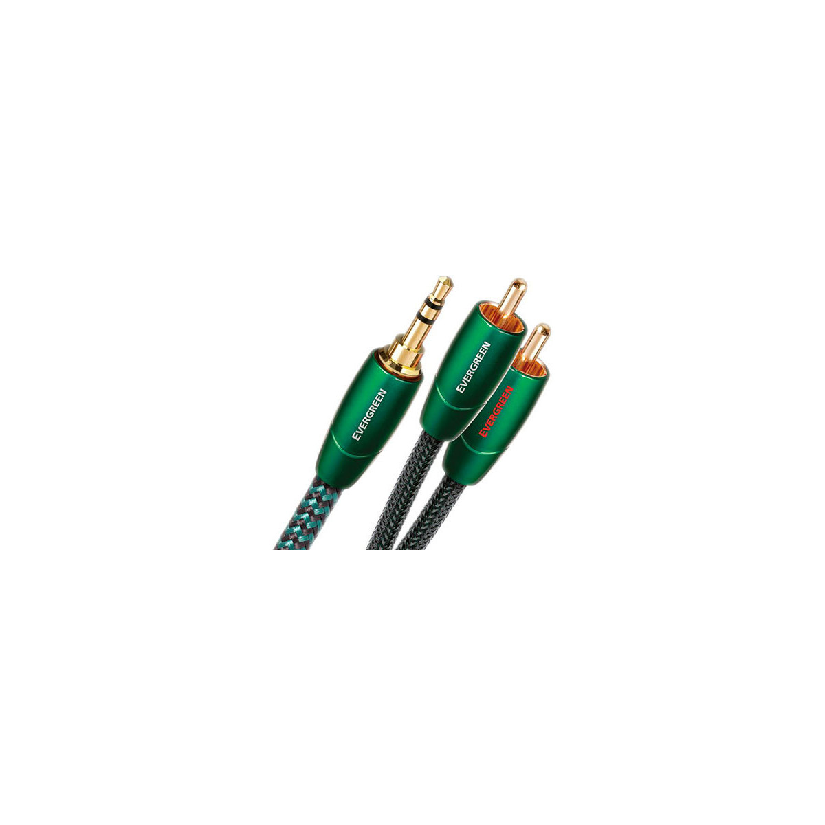 EVERGREEN RCA/MINI JACK