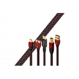 CINNAMON USB