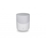 Enceinte multi-room BLUESOUND PULSE M