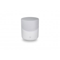 Enceinte multi-room BLUESOUND PULSE M