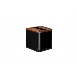 MARTIN LOGAN  BalancedForce...