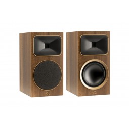 MARTIN LOGAN MOTION...