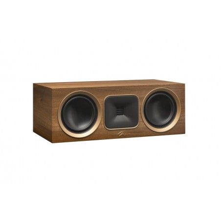 MARTIN LOGAN MOTION FOUNDATION C1