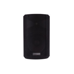 DEFINITIVE AUDIO PANDA 10A BT (l'unité)