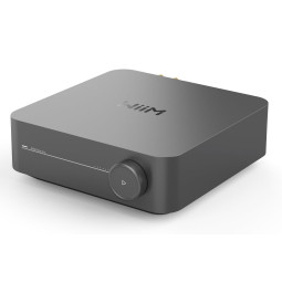 WIIM AMP PRO