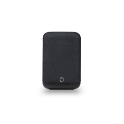 BLUESOUND PULSE FLEX (2025)