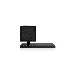 TIVOLI AUDIO REVIVE