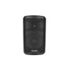 DEFINITIVE AUDIO PANDA 10A BT G2