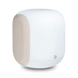 BLUESOUND PULSE SUB - SW200